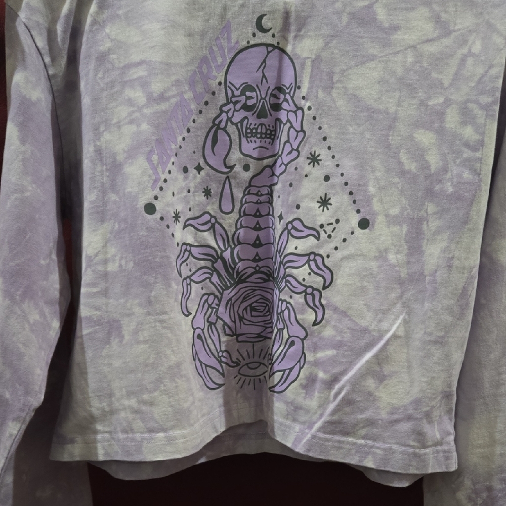 Santa Cruz Skateboards Purple and Gray Scorpion 🦂 & Skull 💀 Long Sleeve Tee 🌹